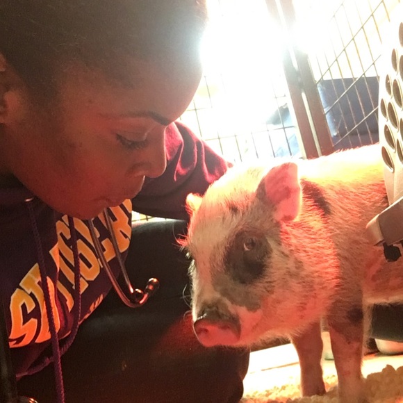 Meet your Posher, Krys_tal - Picture 7 of 8